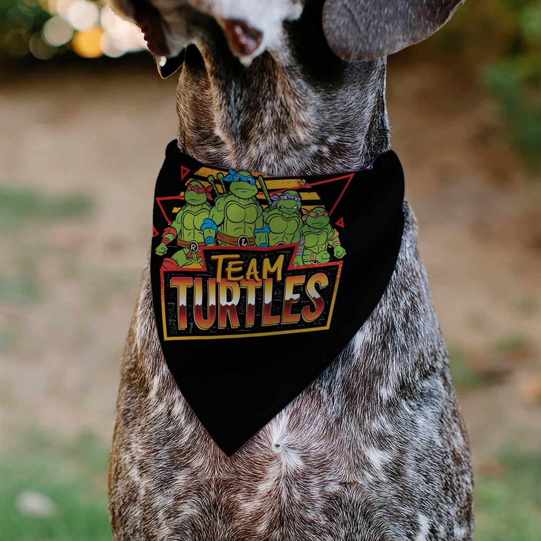 Teenage Mutant Ninja Turtles TEAM TURTLES Dog Bandana – Bandanas & Neckwear by Buckle - Down