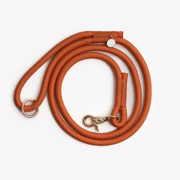 Terracotta - Braided Rope Dog Leash – Dog Leashes by FURLOU