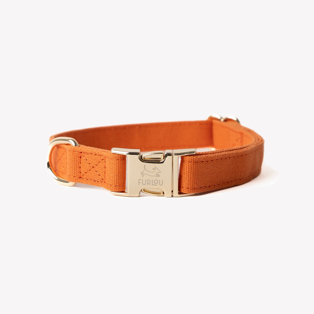 Terracotta - Canvas Dog Collar – Dog Collars by FURLOU