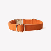 Terracotta - Canvas Dog Collar – Dog Collars by FURLOU