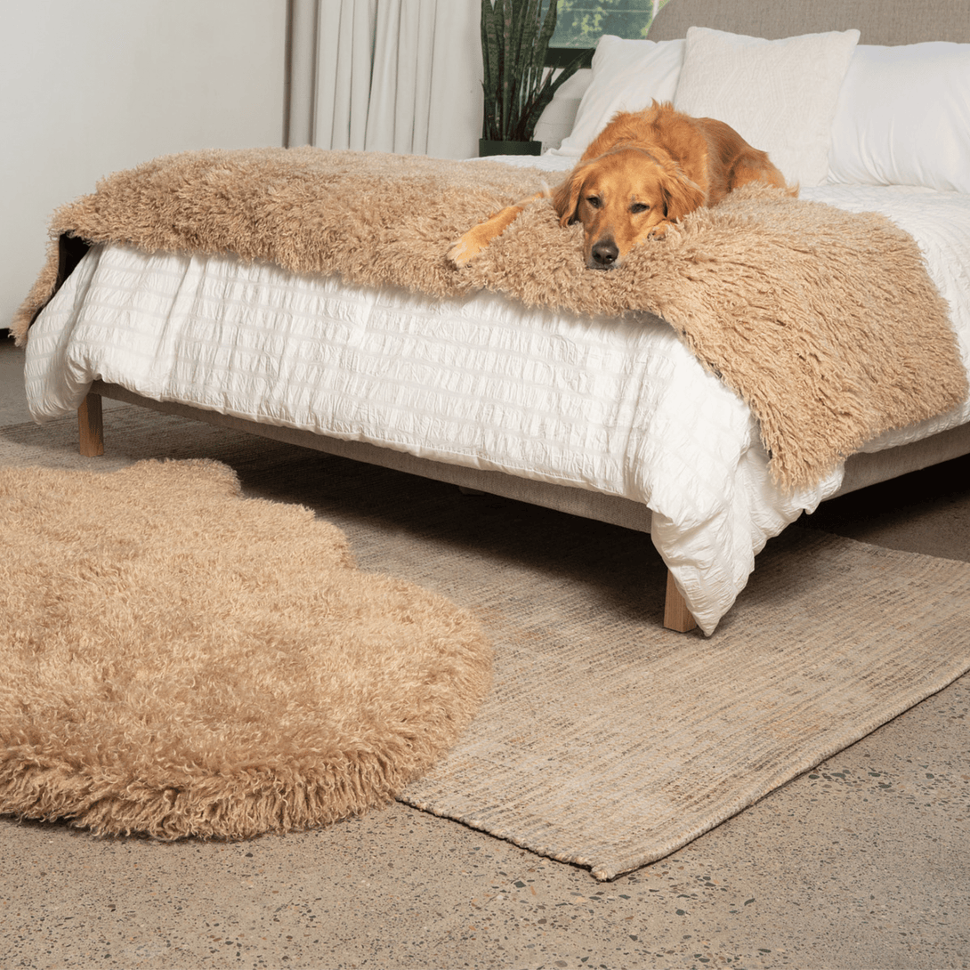 The Final EDIT: PupProtector Luxe Waterproof Bed Runner - Plush Sheep Tan – Dog Blankets by Paw.com