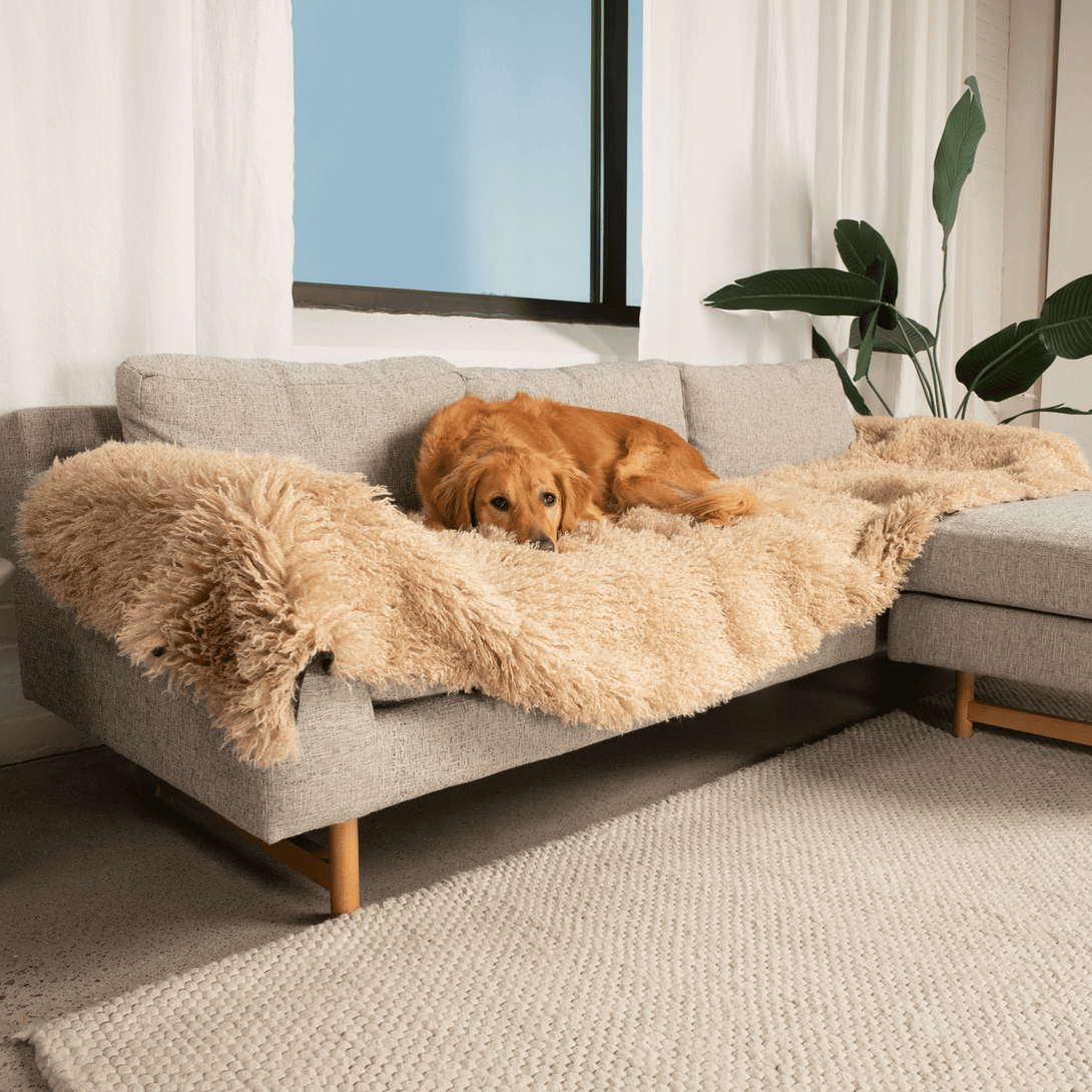 The Final EDIT: PupProtector Luxe Waterproof Bed Runner - Plush Sheep Tan – Dog Blankets by Paw.com