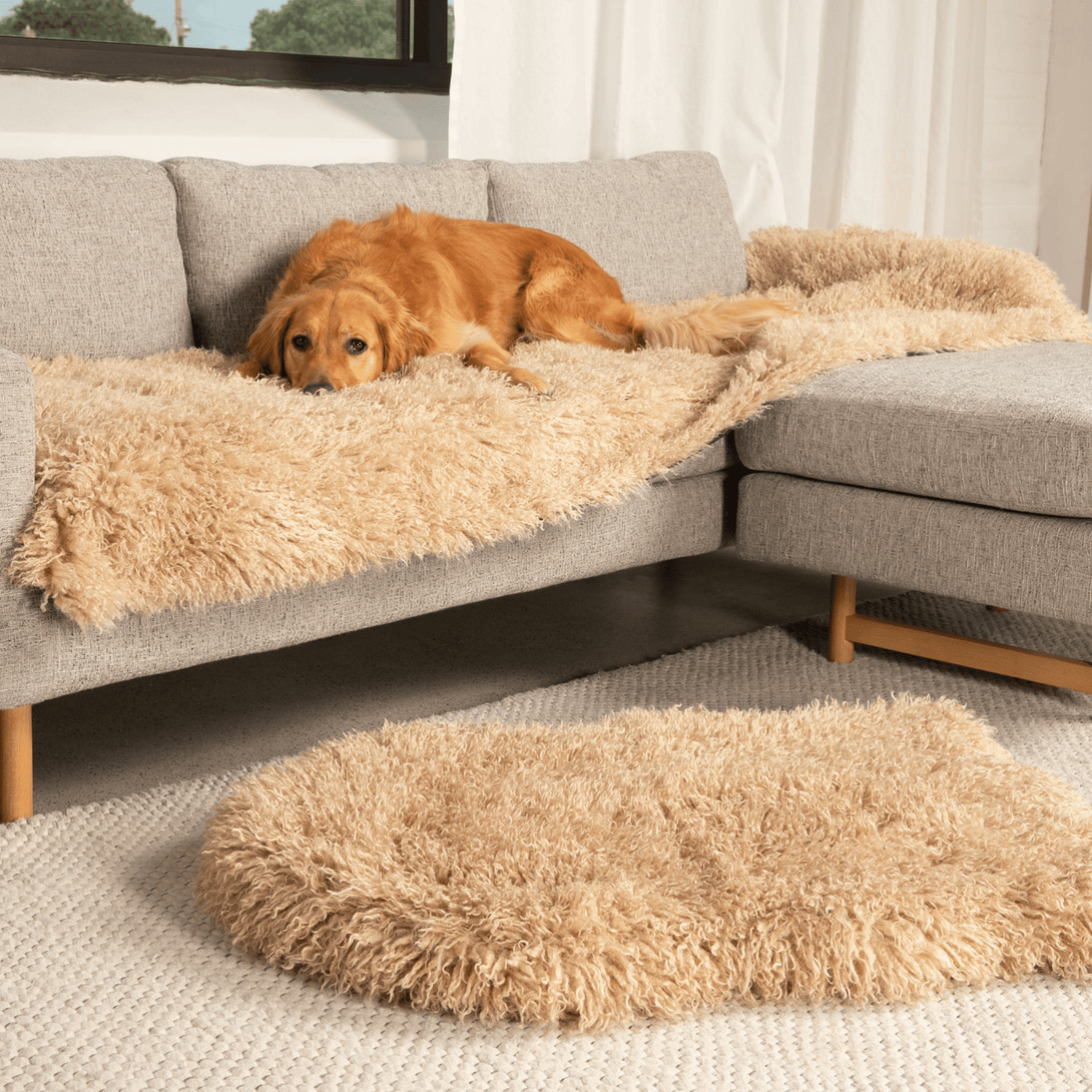 The Final EDIT: PupProtector Luxe Waterproof Bed Runner - Plush Sheep Tan – Dog Blankets by Paw.com