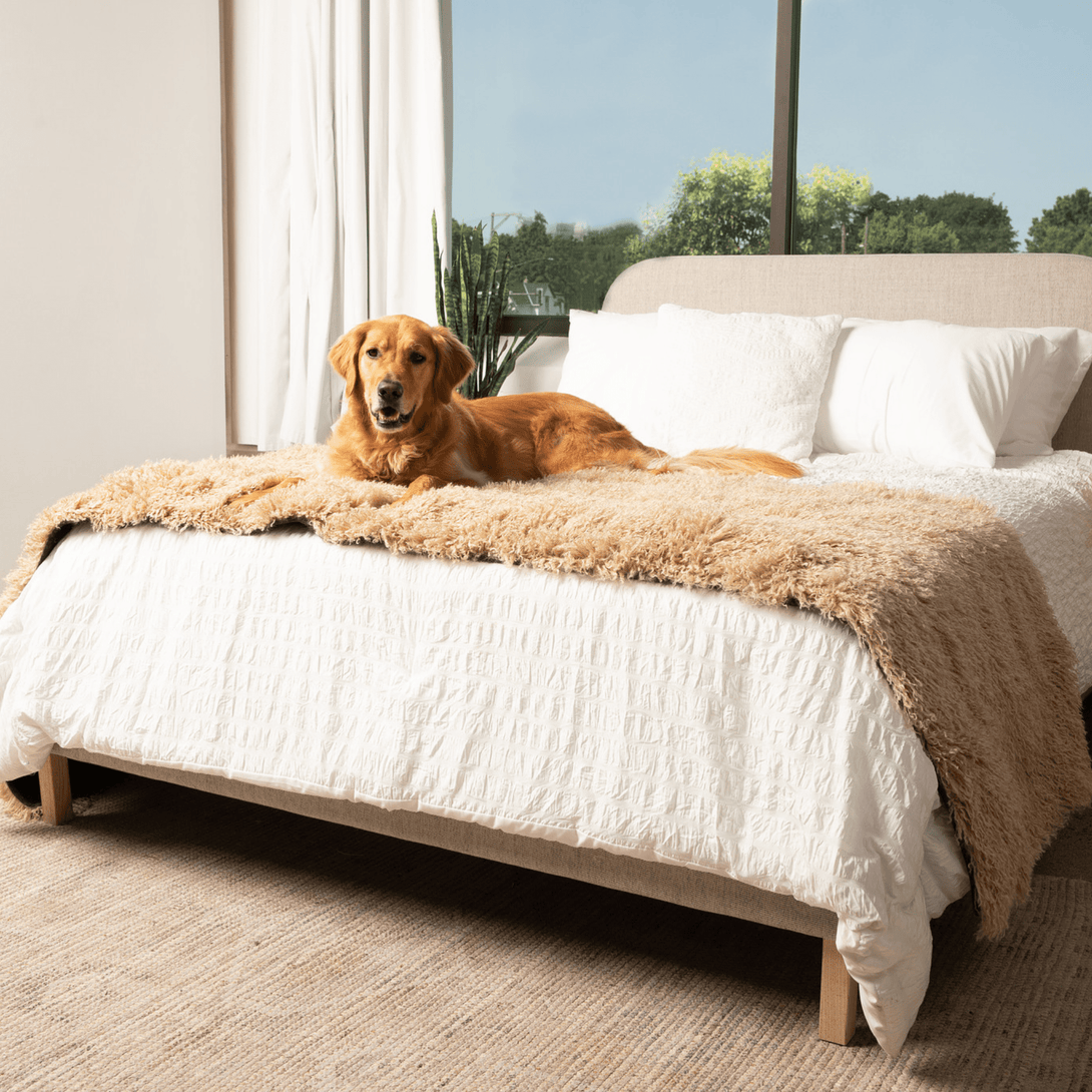 The Final EDIT: PupProtector Luxe Waterproof Bed Runner - Plush Sheep Tan – Dog Blankets by Paw.com