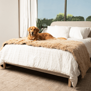 The Final EDIT: PupProtector Luxe Waterproof Bed Runner - Plush Sheep Tan – Dog Blankets by Paw.com