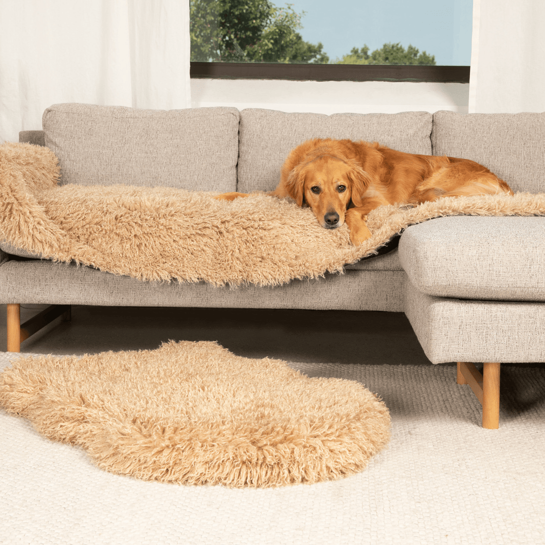 The Final EDIT: PupProtector Luxe Waterproof Bed Runner - Plush Sheep Tan – Dog Blankets by Paw.com