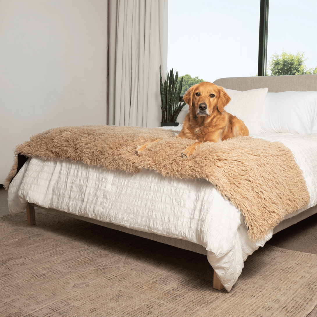 The Final EDIT: PupProtector Luxe Waterproof Bed Runner - Plush Sheep Tan – Dog Blankets by Paw.com