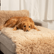 The Final EDIT: PupProtector Luxe Waterproof Bed Runner - Plush Sheep Tan – Dog Blankets by Paw.com