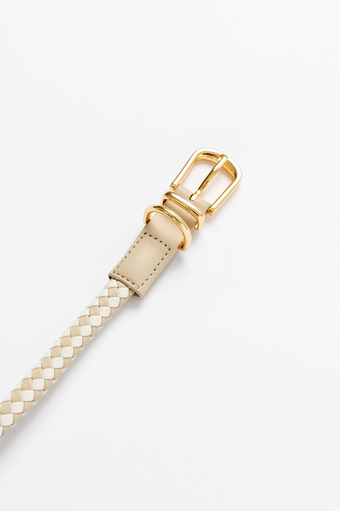 The Final EDIT: Rolled Dog Collar - Small – Dog Collars by Pupwell