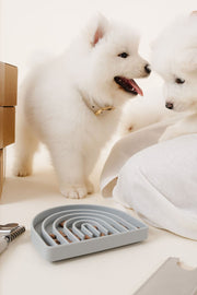 The Final EDIT: Rolled Dog Collar - Small – Dog Collars by Pupwell