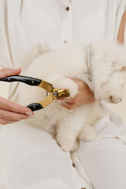 The Final EDIT: Rolled Dog Collar - Small – Dog Collars by Pupwell