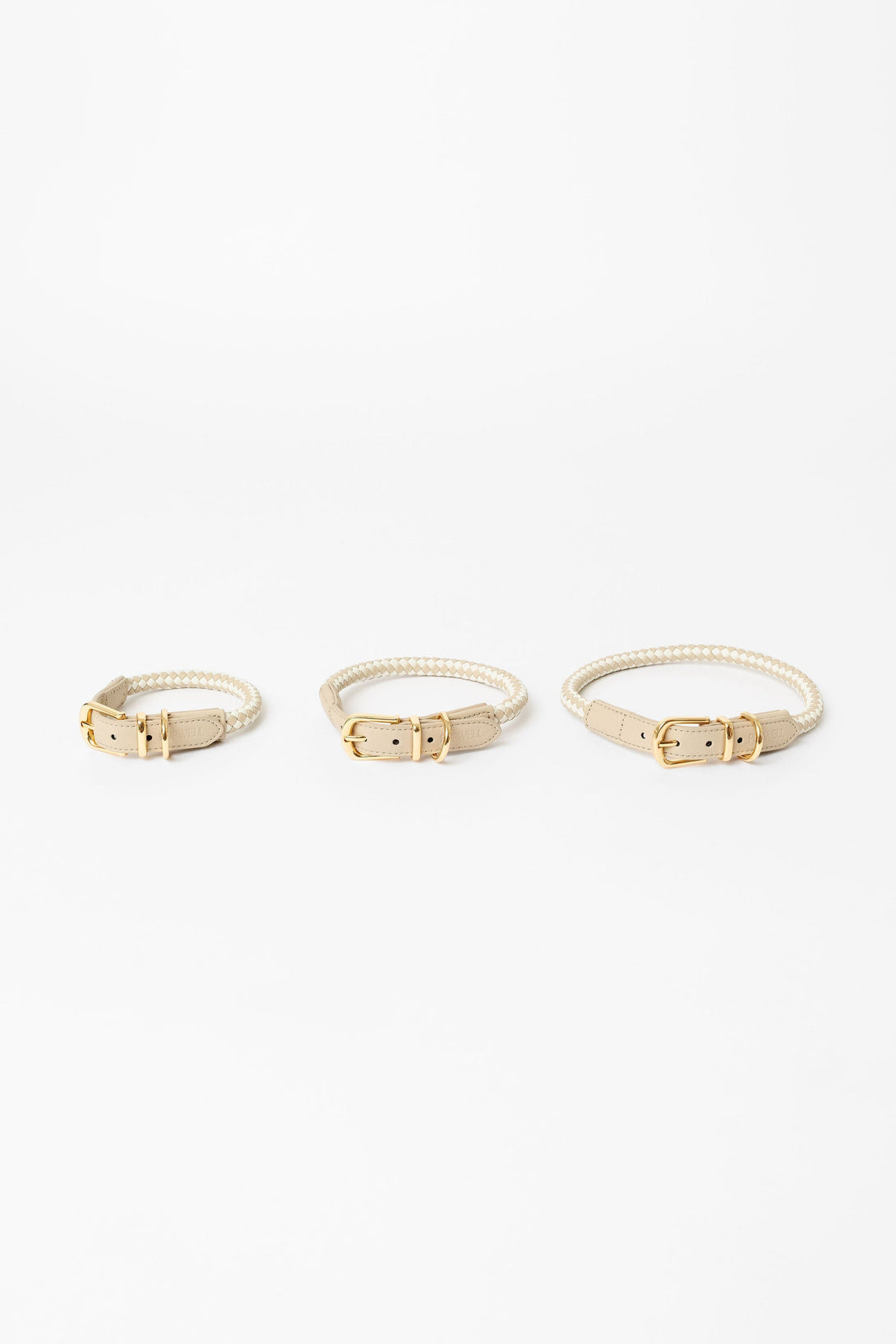 The Final EDIT: Rolled Dog Collar - Small – Dog Collars by Pupwell