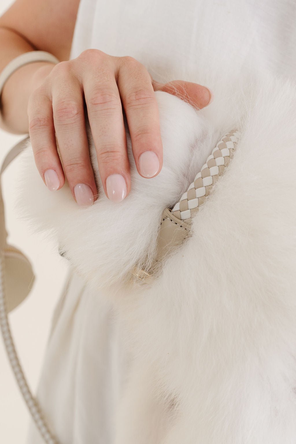 The Final EDIT: Rolled Dog Collar - Small – Dog Collars by Pupwell