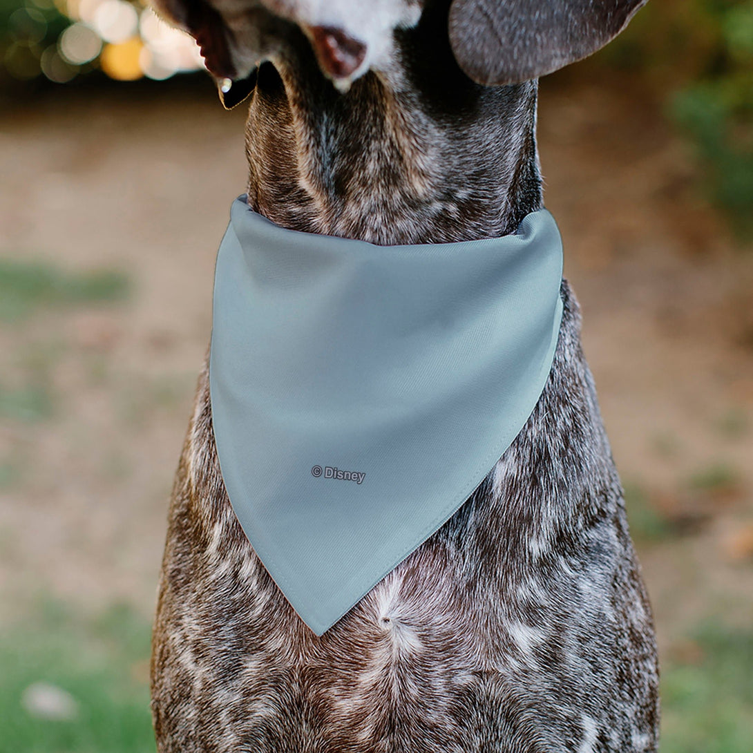 The Little Mermaid Ariel Dog Bandana – Bandanas & Neckwear by Buckle - Down