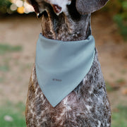 The Little Mermaid Ariel Dog Bandana – Bandanas & Neckwear by Buckle - Down