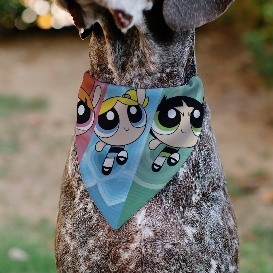 The Powerpuff Girls Flight Dog Bandana – Bandanas & Neckwear by Buckle - Down