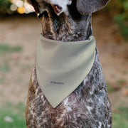 Toy Story Buzz Lightyear Dog Bandana – Bandanas & Neckwear by Buckle - Down