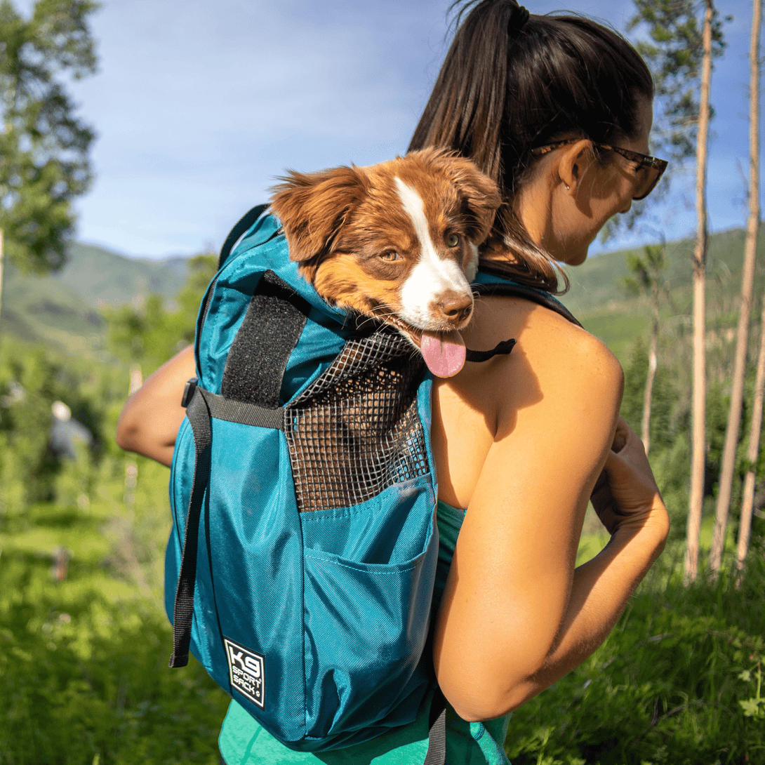 Trainer Puppy & Small Dog Carrier – Pet Carriers by K9 Sport Sack