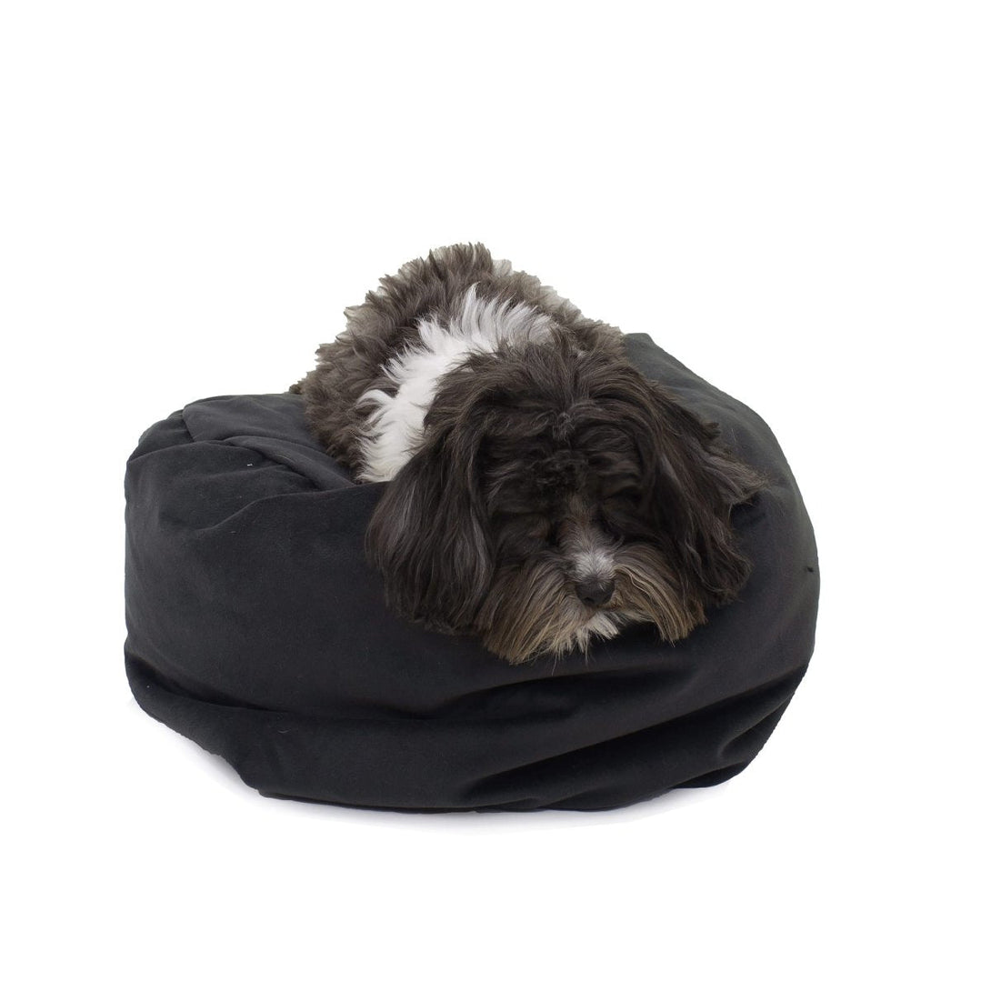 Transformer Converting Dog Bed – Dog Beds by Carolina Pet Co.