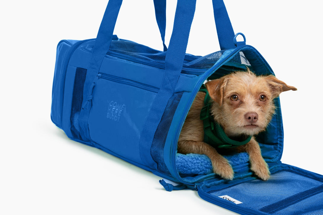 Travel Buddy - Pet Carrier – Pet Carrier by Come Here Buddy