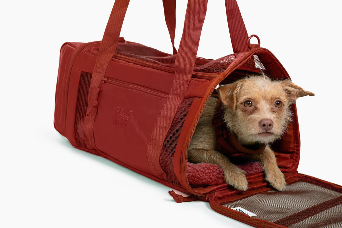 Travel Buddy - Pet Carrier – Pet Carrier by Come Here Buddy