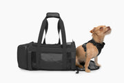 Travel Buddy - Pet Carrier – Pet Carrier by Come Here Buddy