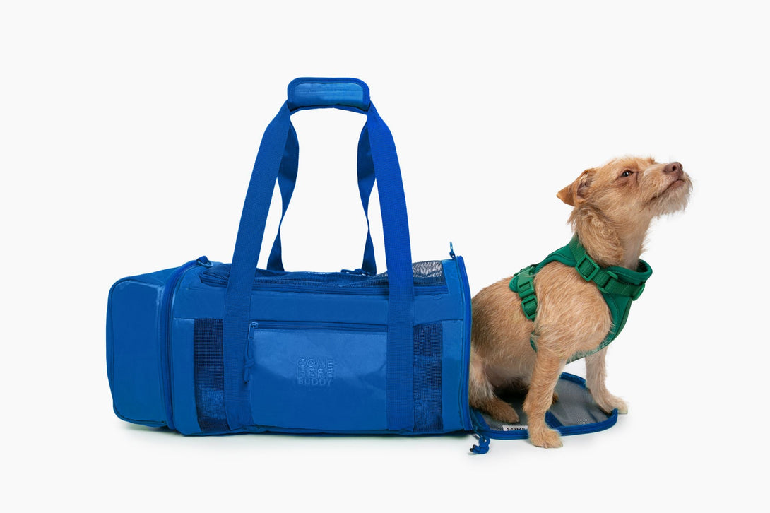 Travel Buddy - Pet Carrier – Pet Carrier by Come Here Buddy