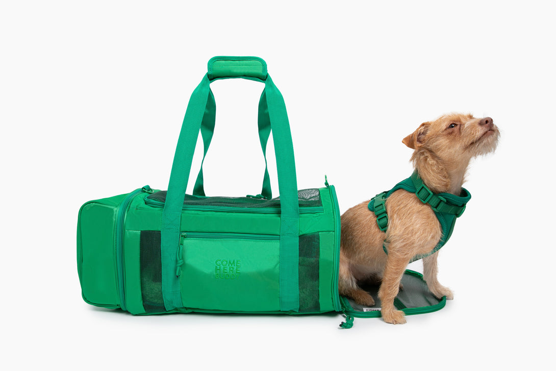 Travel Buddy - Pet Carrier – Pet Carrier by Come Here Buddy