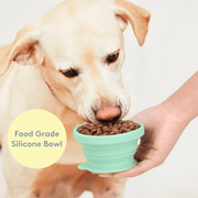 Travel Hero 3 - in - 1: Dog Water Dog Bowl and Food - Bag Dispenser - Seaglass Green – Dog Poop Bags & Dispensers by Sweet Paws