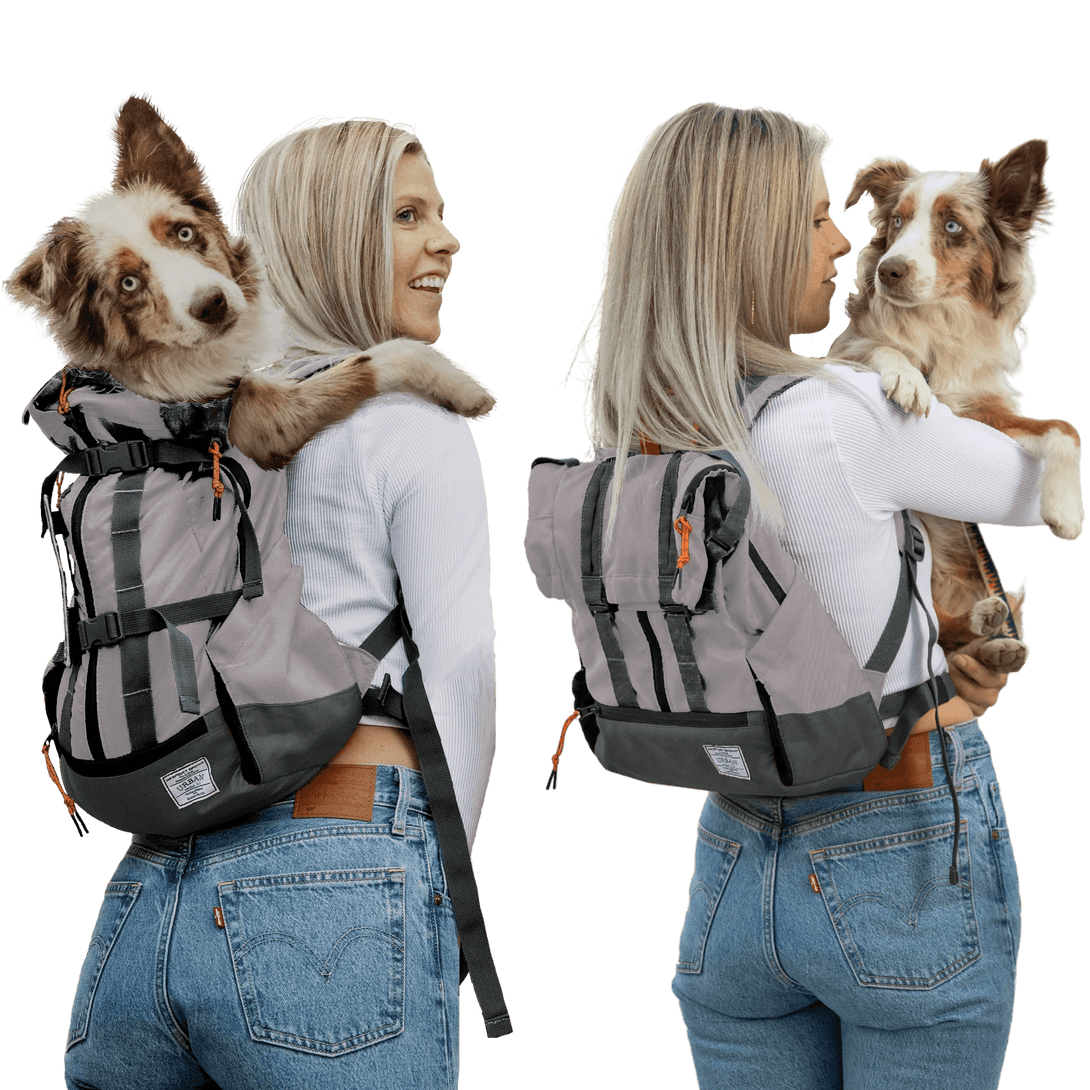 Urban 3 Dual Use Dog Carrier & Traditional Backpack – Pet Carriers by K9 Sport Sack