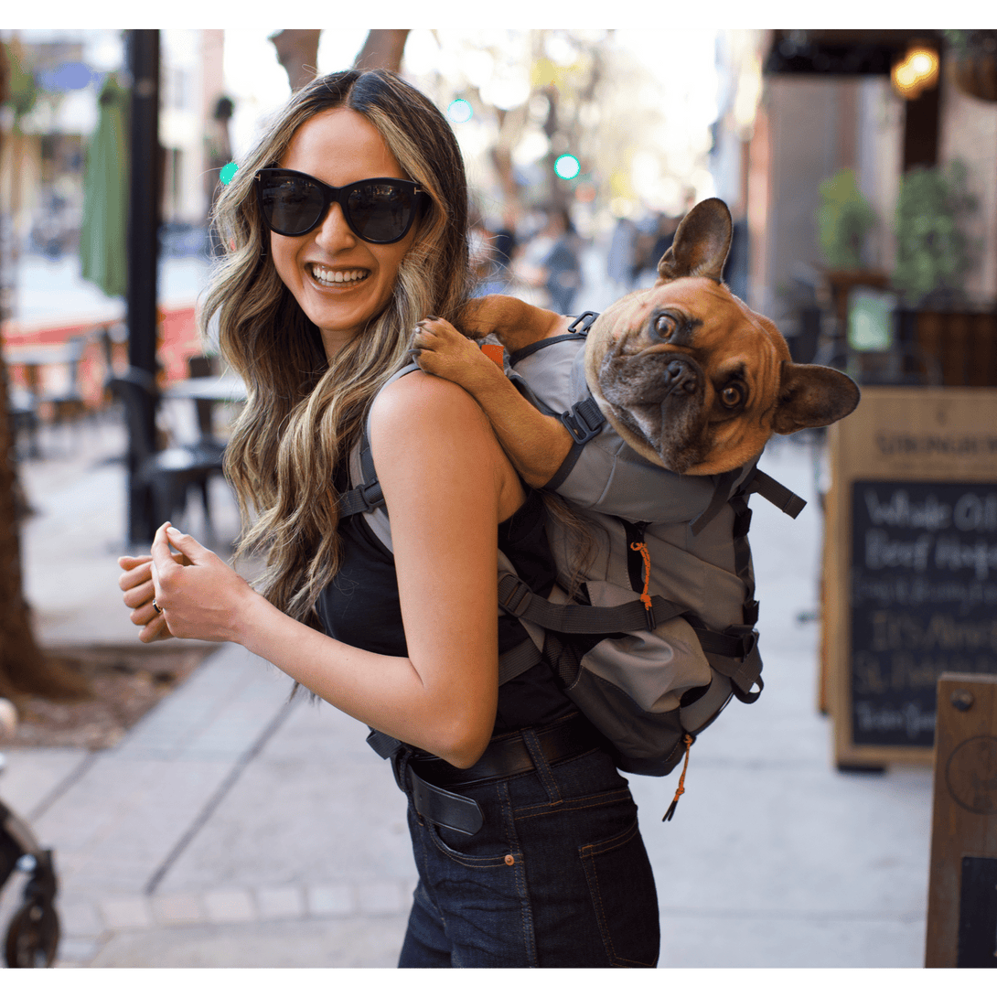 Urban 3 Dual Use Dog Carrier & Traditional Backpack – Pet Carriers by K9 Sport Sack