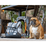 Urban 3 Dual Use Dog Carrier & Traditional Backpack – Pet Carriers by K9 Sport Sack