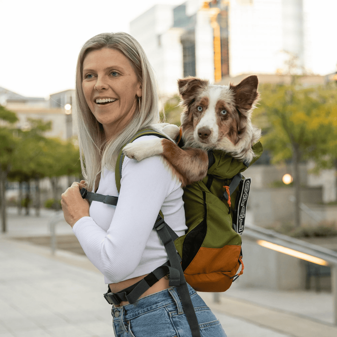 Urban 3 Dual Use Dog Carrier & Traditional Backpack – Pet Carriers by K9 Sport Sack