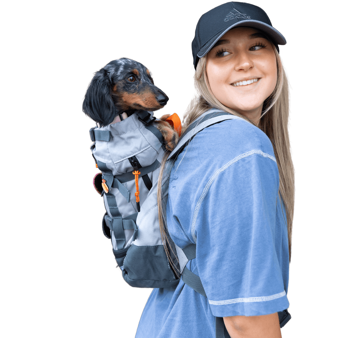 Urban 3 Dual Use Dog Carrier & Traditional Backpack – Pet Carriers by K9 Sport Sack