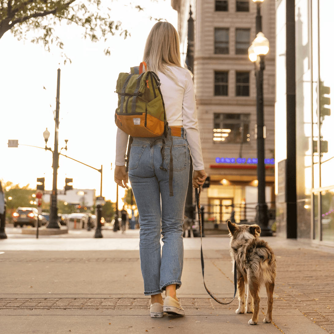 Urban 3 Dual Use Dog Carrier & Traditional Backpack – Pet Carriers by K9 Sport Sack