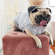 Urban Dog Hoodie - Heather Grey – Sweaters & Hoodies by GF Pet.us