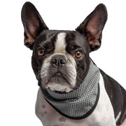 US Army Cooling Dog Bandana - Grey – Bandanas & Neckwear by GF Pet.us