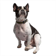 US Army Dog Collar Dark Camo – Dog Collars by GF Pet.us