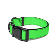 WaggyWalk Electric Lime Dog Collar – Dog Collars by WUFORIA