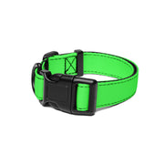 WaggyWalk Electric Lime Dog Collar – Dog Collars by WUFORIA