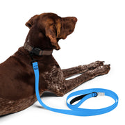 WaggyWalk French Blue Dog Leash – Dog Leashes by WUFORIA