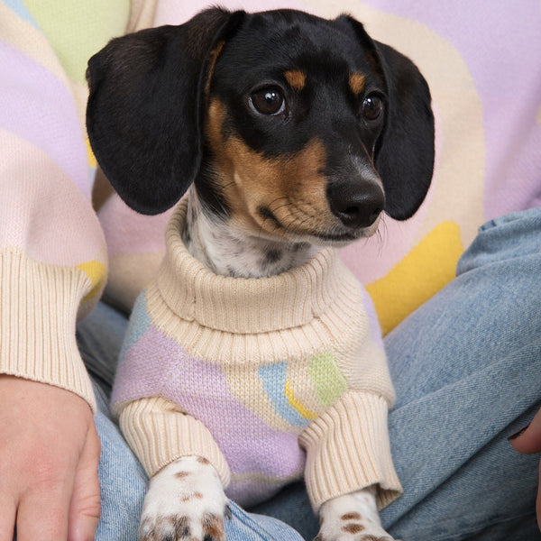 Wavy Knitted Dog Sweater – Sweaters & Hoodies by Sunbean