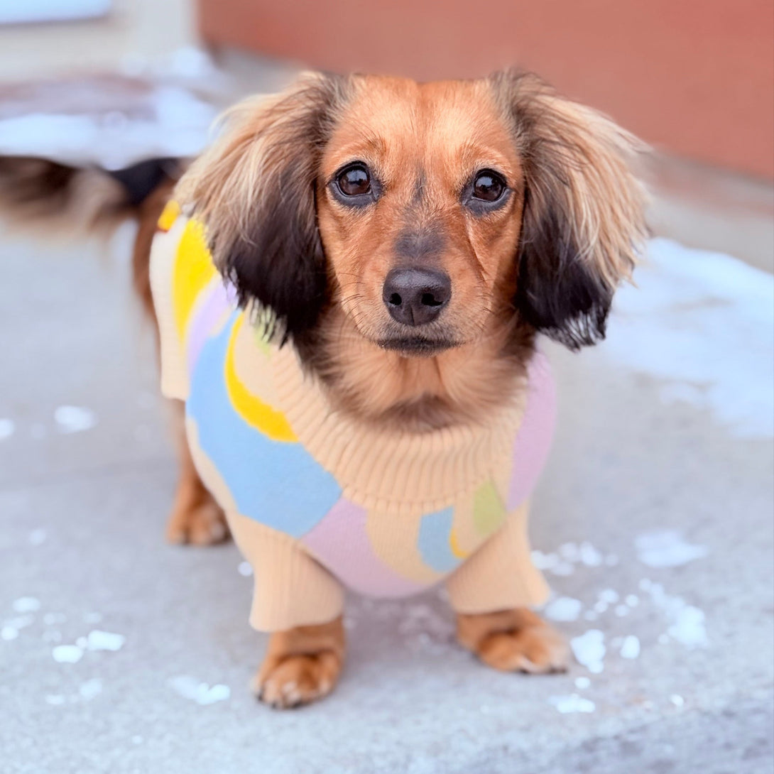 Wavy Knitted Dog Sweater – Sweaters & Hoodies by Sunbean