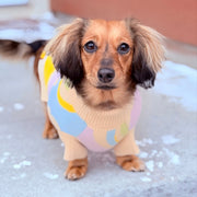 Wavy Knitted Dog Sweater – Sweaters & Hoodies by Sunbean