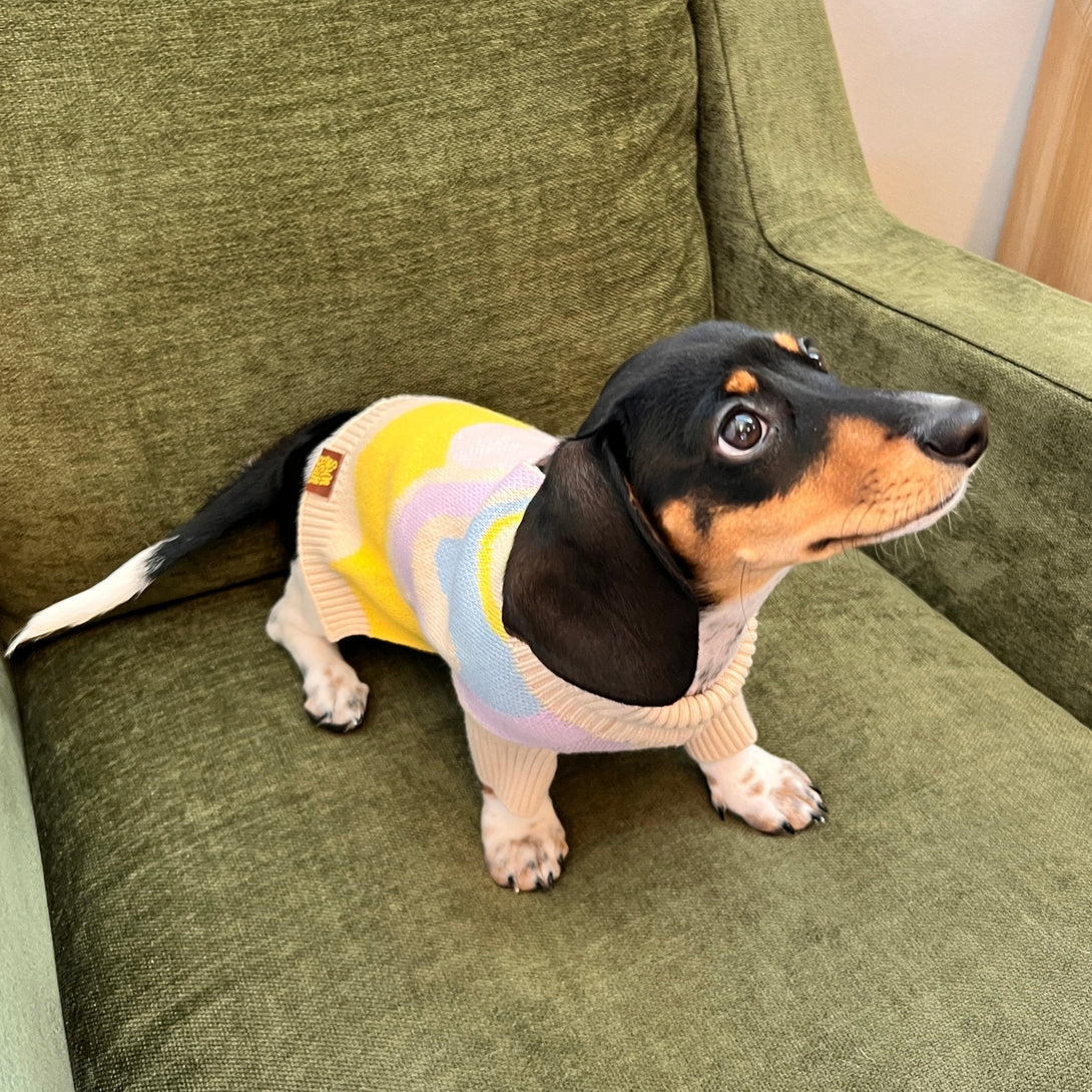 Wavy Knitted Dog Sweater – Sweaters & Hoodies by Sunbean