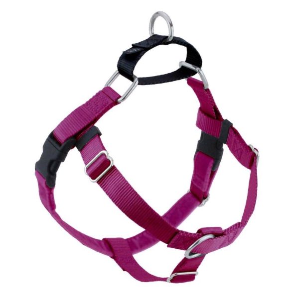 2 Hounds Design Raspberry Freedom No-Pull Dog Harness