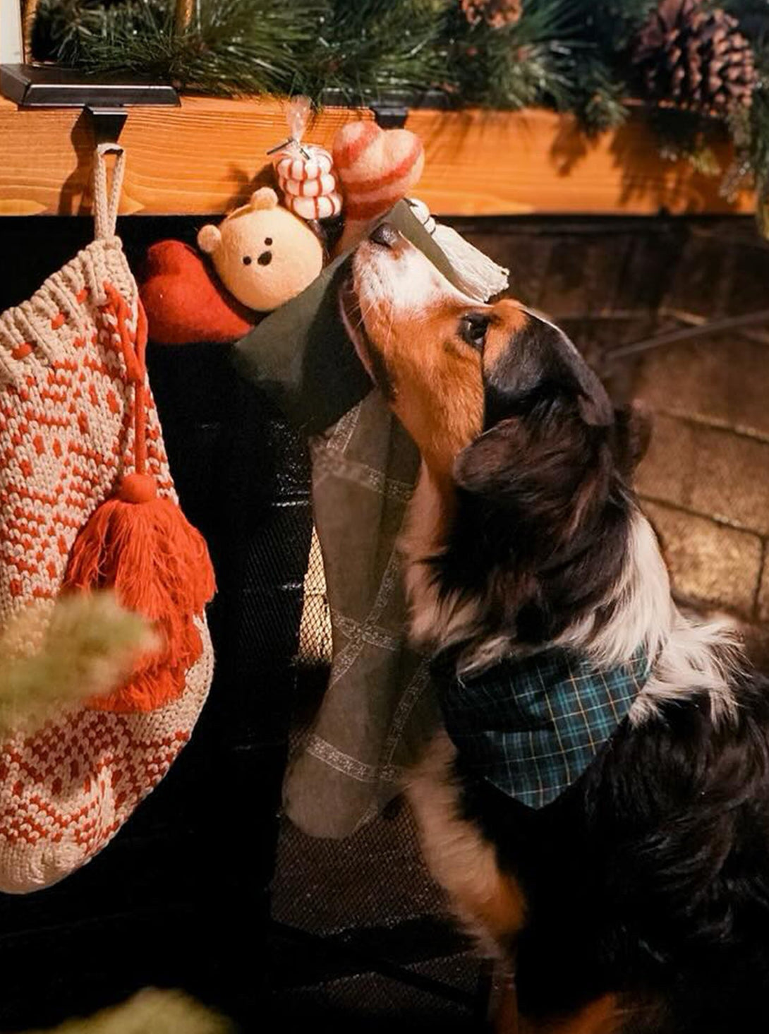 Winter Dog Bandana – Bandanas & Neckwear by MODERNBEAST