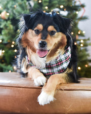 Winter Dog Bandana – Bandanas & Neckwear by MODERNBEAST