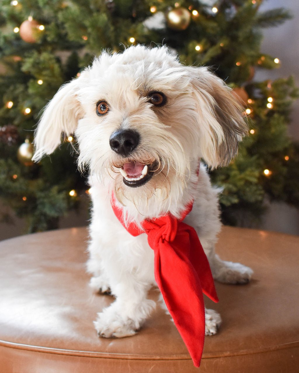 Winter Dog Necktie – Bandanas & Neckwear by MODERNBEAST
