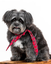 Winter Dog Necktie – Bandanas & Neckwear by MODERNBEAST